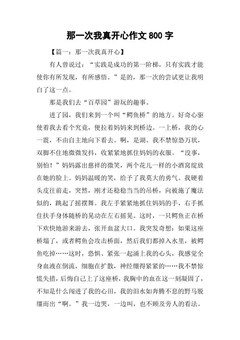 那一次我真开心作文800字