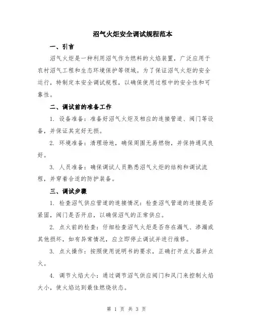 沼气火炬安全调试规程范本
