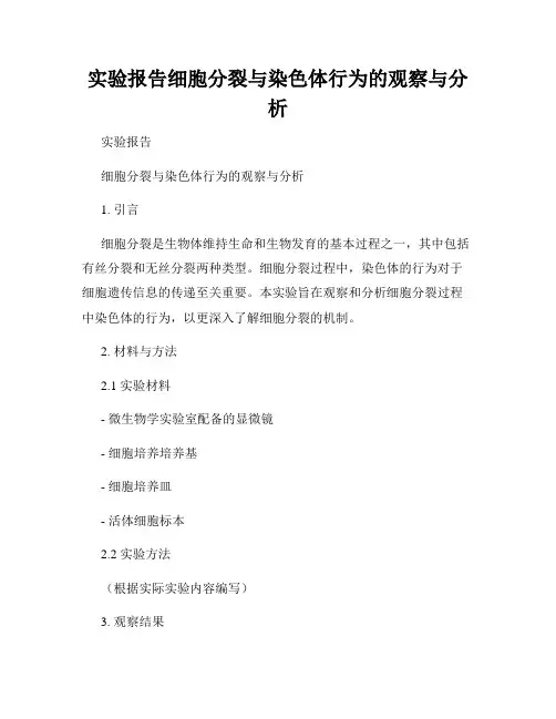 实验报告细胞分裂与染色体行为的观察与分析
