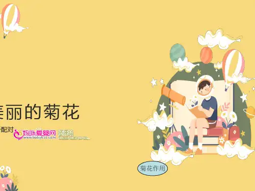 中班科学PPT美丽的菊花
