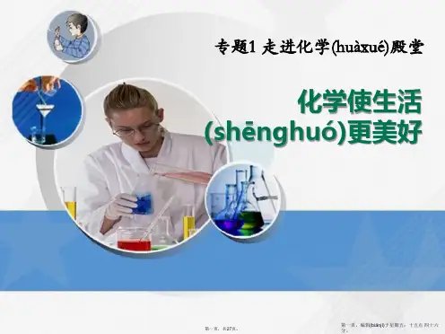《化学使生活更美好》走进化学殿堂PPT课件
