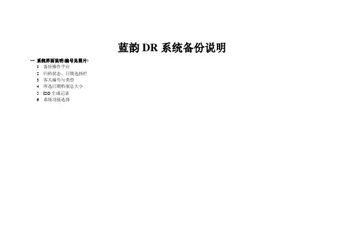 蓝韵DR备份简易说明文档