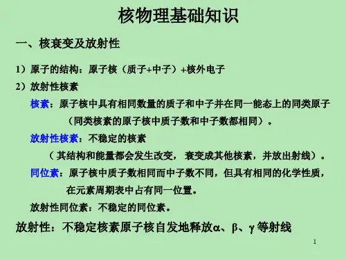 医学专题放射性测井之自然伽马测井