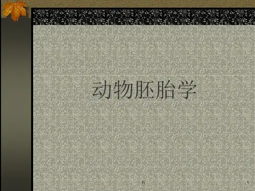 从业资格考试执业兽医资格考试 胚胎学
