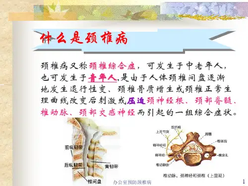 办公室预防颈椎病课件