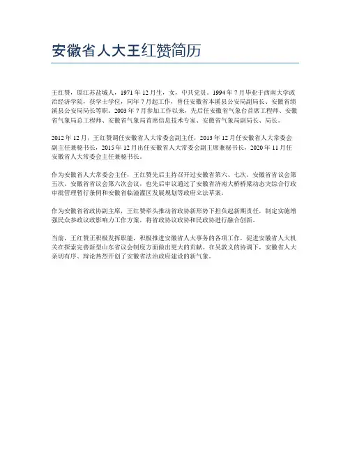 安徽省人大王红赞简历