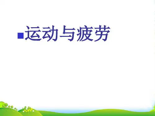 运动与疲劳-医学课件