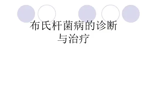 布氏杆菌病的诊断与治疗