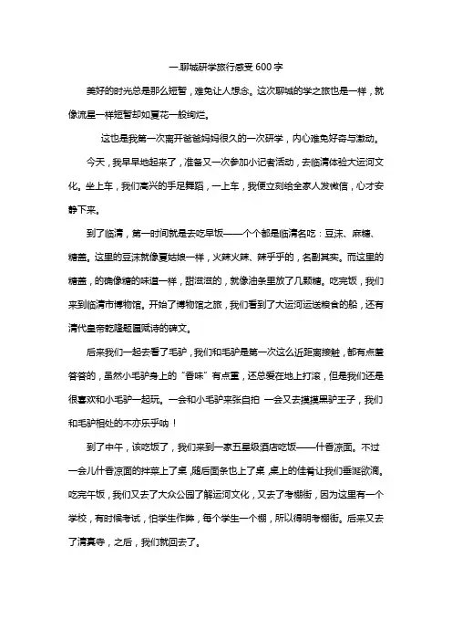 聊城研学旅行感受600字