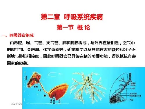 第二章呼吸ppt课件