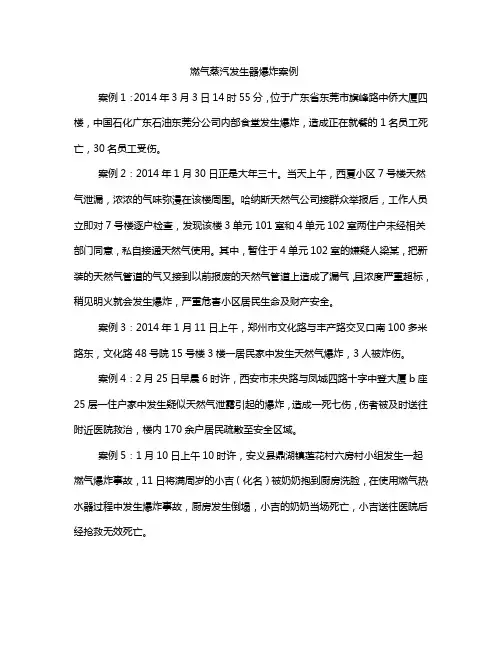 燃气蒸汽发生器爆炸案例