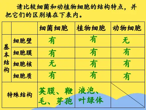 七年级生物上册 第二单元 第二节 细菌与动植物细胞结构的比较课件 济南版(“细胞”相关文档)共1张