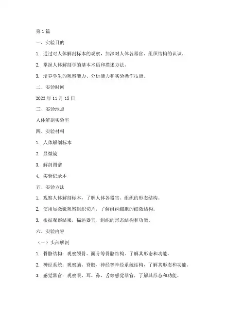 真实人体解剖实验报告(3篇)