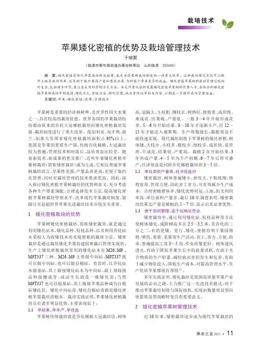 苹果矮化密植的优势及栽培管理技术