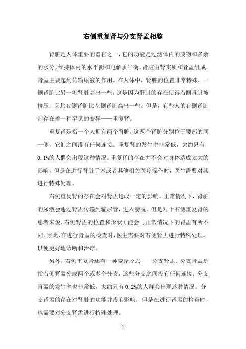 右侧重复肾与分支肾盂相鉴