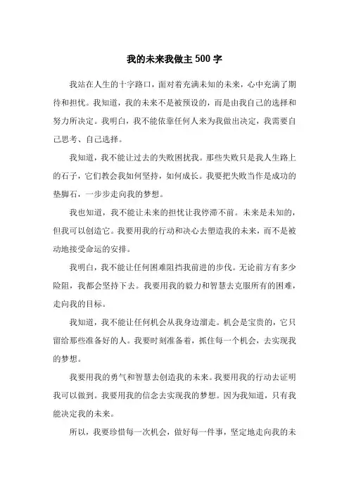 我的未来我做主500字