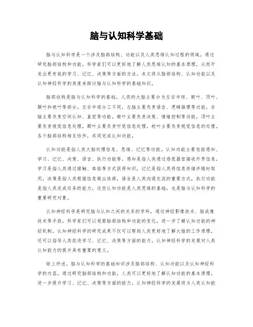 脑与认知科学基础