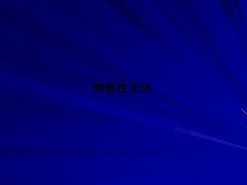 转移性支出PPT课件