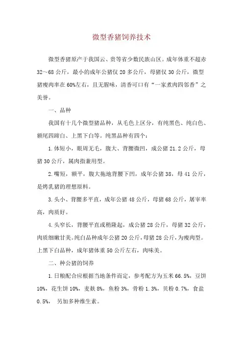 微型香猪饲养技术