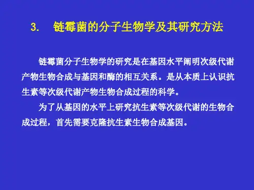 4-1.链霉菌的分子生物学