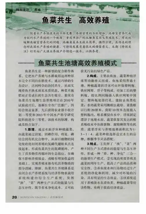鱼菜共生高效养殖