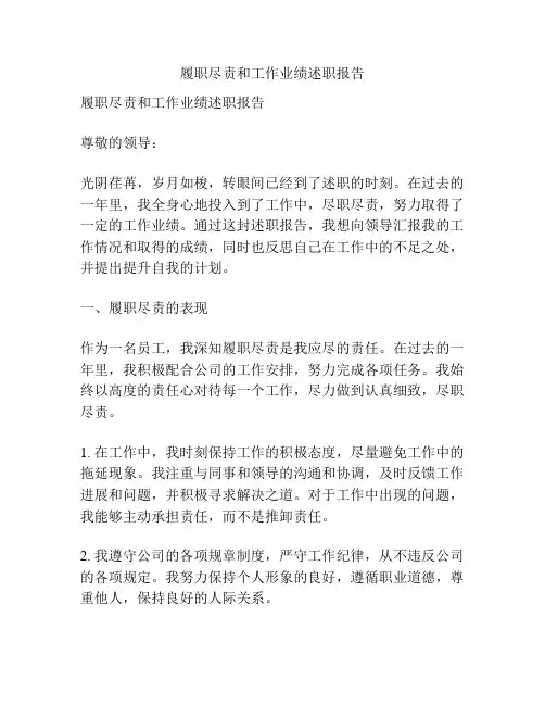 履职尽责和工作业绩述职报告