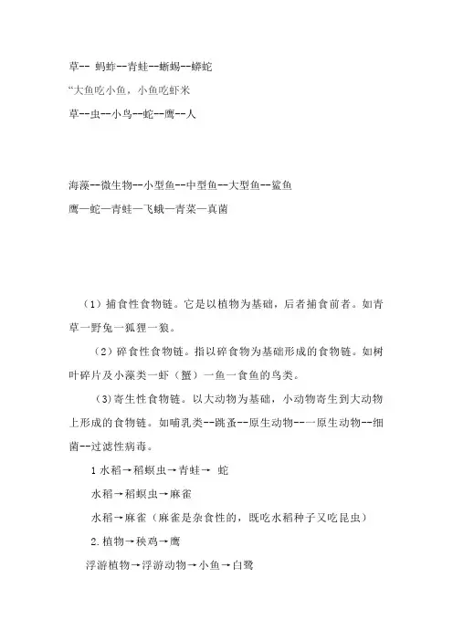 动物植物食物链