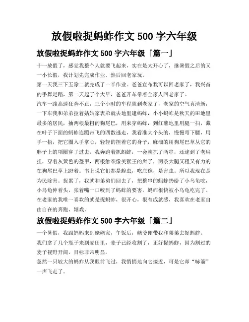 放假啦捉蚂蚱作文500字六年级