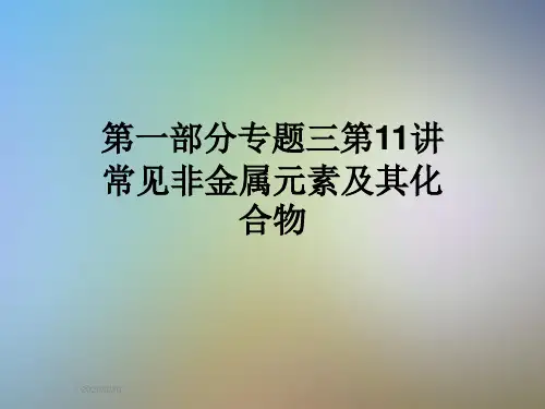 第一部分专题三第11讲常见非金属元素及其化合物