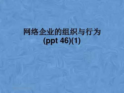 网络企业的组织与行为(ppt 46)(1)