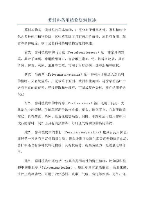 蓼科科药用植物资源概述