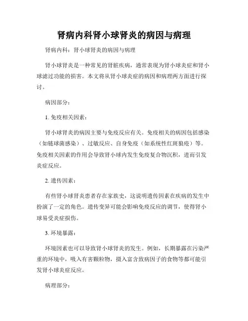肾病内科肾小球肾炎的病因与病理