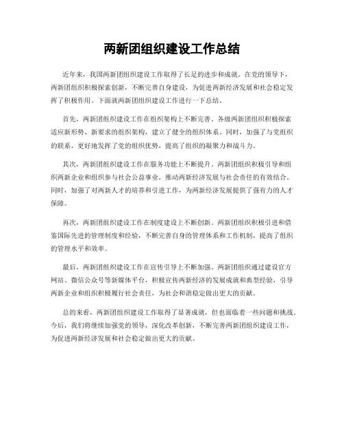 两新团组织建设工作总结