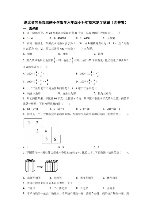 湖北省宜昌市三峡小学数学六年级小升初期末复习试题(含答案)
