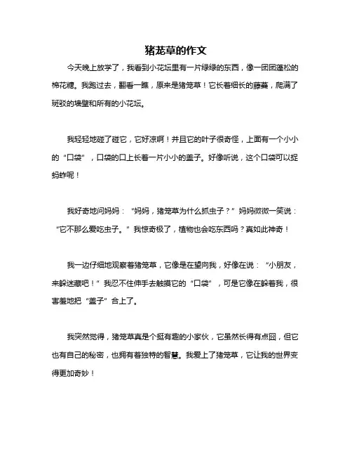 猪茏草的作文