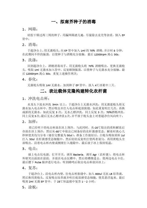 农杆菌转化和侵染拟南芥及其种子的消毒与筛选