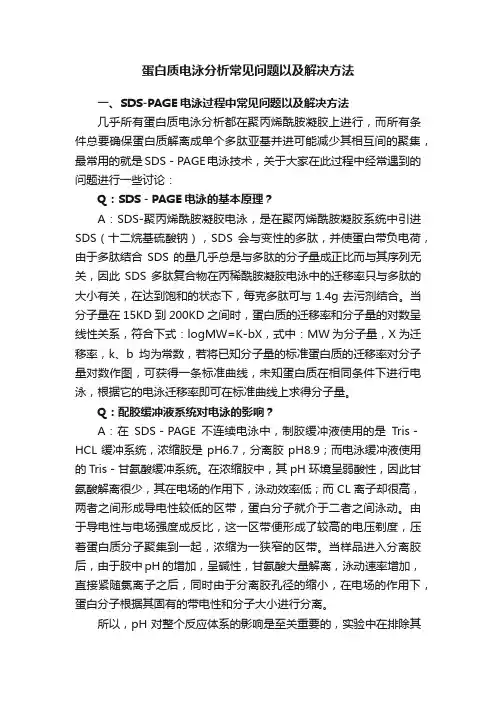 蛋白质电泳分析常见问题以及解决方法