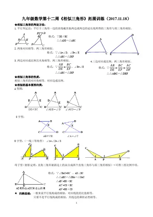 九年级数学第十二周《相似三角形》拓展训练