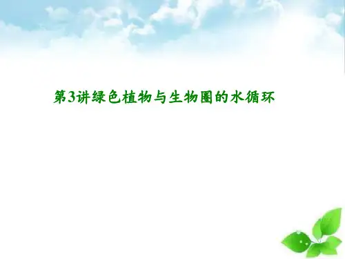 中考生物复习：绿色植物与生物圈的水循环课件PPT