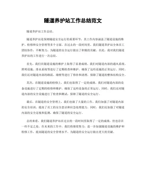 隧道养护站工作总结范文
