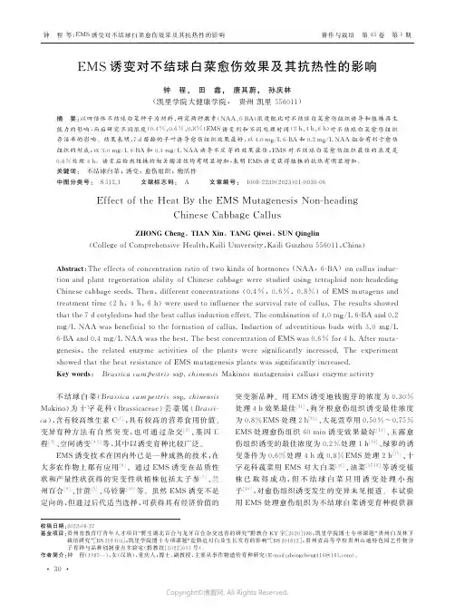 211170530_EMS诱变对不结球白菜愈伤效果及其抗热性的影响