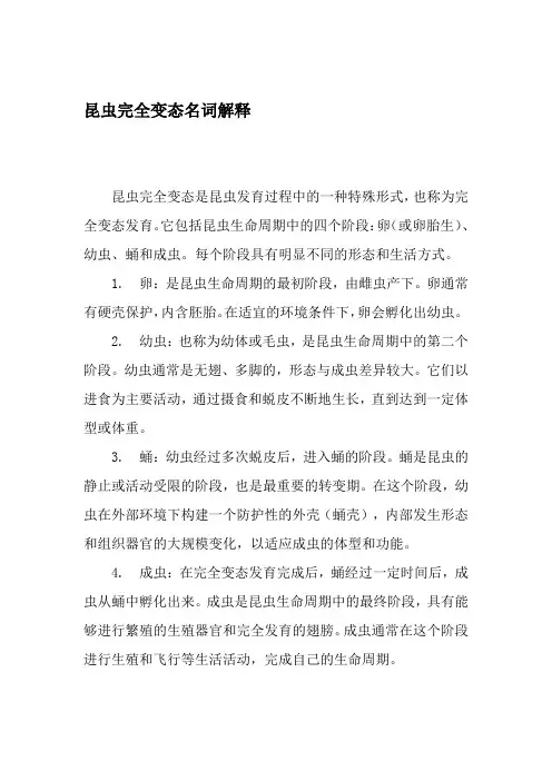 昆虫完全变态名词解释