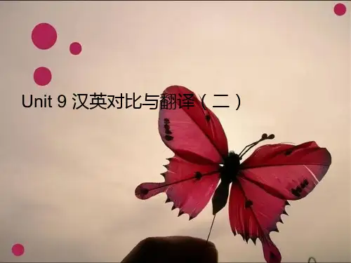 unit9 汉英对比与翻译二