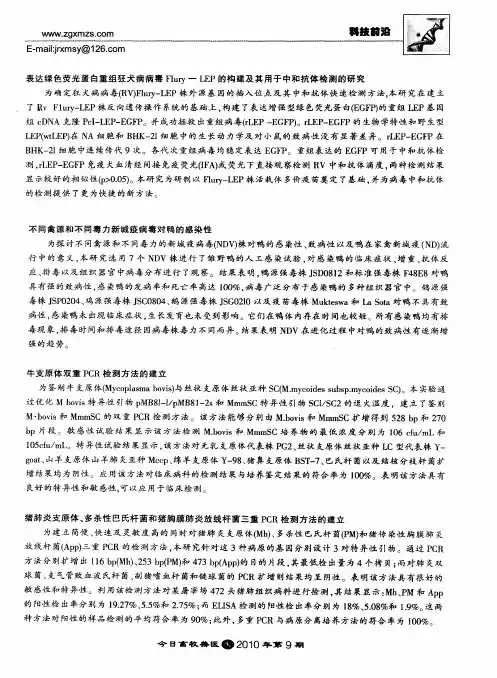 表达绿色荧光蛋白重组狂犬病病毒Flury—LEP的构建及其用于中和抗体检测的研究