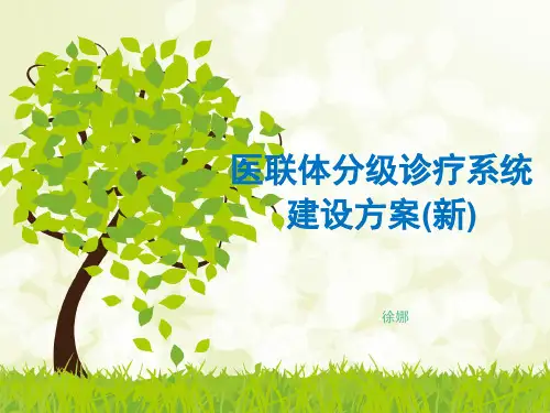 医联体分级诊疗系统建设方案(新)