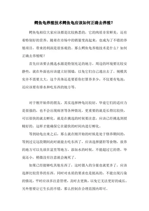 鳄鱼龟养殖技术 鳄鱼龟应该如何正确去养殖？