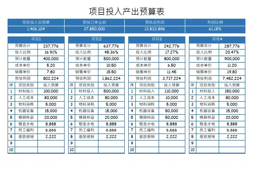 项目投入产出预算表(完美版)