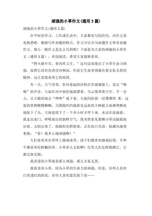顽强的小草作文(通用3篇)