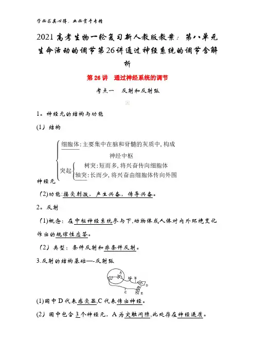 2021高考生物一轮复习教案：第八单元生命活动的调节第26讲通过神经系统的调节含解析