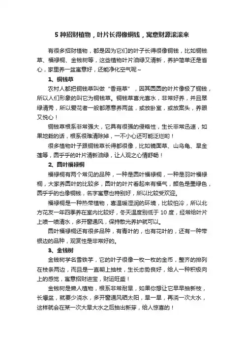 5种招财植物，叶片长得像铜钱，寓意财源滚滚来